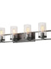 Isangelos 4-Light Silver Vanity Light