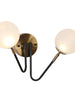 Betonicifolia 2-Light Black & Gold Wall Sconces with Globe Glass