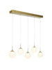 Betonicifolia 5-Light 31.5-in Brass Modern Cluster LED Kitchen Island Light