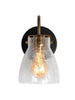 Aidtyrtm 1-Light Black and Brass Vanity Light