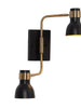 Elinkarce 2-Light Modern Black and Gold Armed Wall Sconces