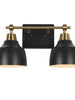 Hyelducc 2-Light Black and Brass Vanity Light