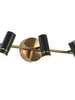 Floeice 3-Light Black and Brass LED Vanity Light