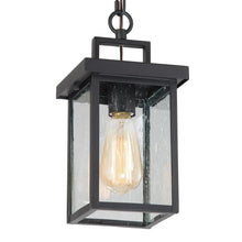Frederica 12"H 1-Light Outdoor Hanging Lantern 99.99