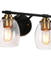 Gary 4-Light Black and Brass Vanity Light