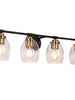 Gary 2-Light Black and Brass Vanity Light