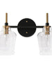 Grandiflorus 2-Light Black and Brass Vanity Light