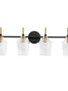 Grandiflorus 4-Light Black and Brass Vanity Light