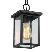 Iris 1-Light 11"H Outdoor Hanging Lantern 99.99