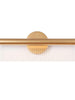 Calceolaria 1-Light Gold Rectangle Acrylic LED Wall Sconces