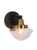 Gnetophyta 1-Light Black and Gold Vanity Light