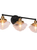 Gnetophyta 3-Light Black and Brass Vanity Light