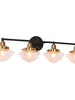 Gnetophyta 4-Light Black and Brass Vanity Light