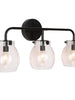 Caninavallar 3-Light Black Vanity Light