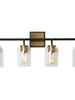 Ephedra 4-Light Black and Brass Vanity Light