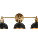 Nephropsidae 3-Light Black and Brass Vanity Light