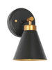 Tourmaline 1-Light Black and Gold Vanity Light