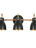 Pleiadetanican 3-Light Black and Gold Vanity Light