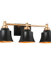 Phapricornus 3-Light Black and Gold Vanity Light