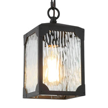 Rita 10"H 1-Light Outdoor Hanging Lantern 