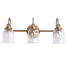 Sarracenia 3-Light Black and Brass Vanity Light