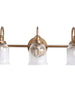 Sarracenia 3-Light Black and Brass Vanity Light