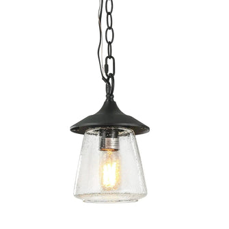 Webb 9.5"H 1-Light Outdoor Hanging Lantern 