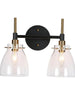 Aviannaiser 2-Light Black and Brass Vanity Light