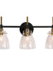 Aviannaiser 3-Light Black and Brass Vanity Light