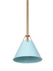 Modern 1-Light Pendant 84.99